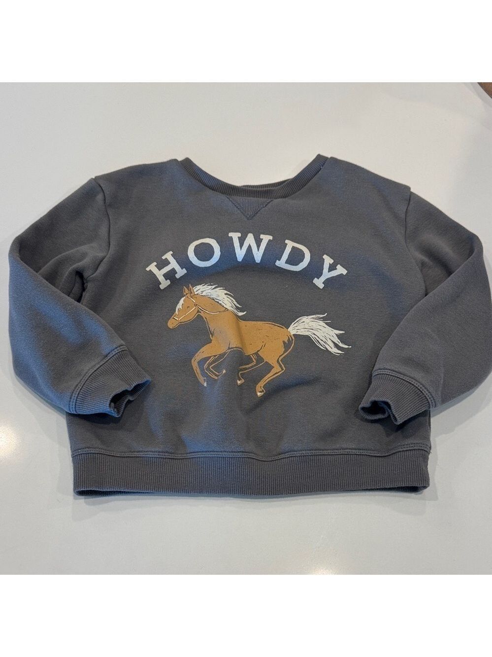 Kids Charcoal Sweatshirt Horse Graphic